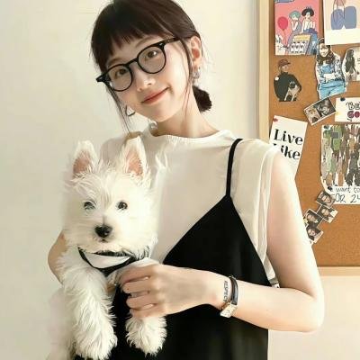 飞马俏姑娘海报