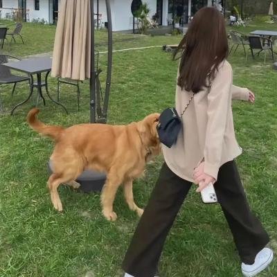 布希妈妈海报